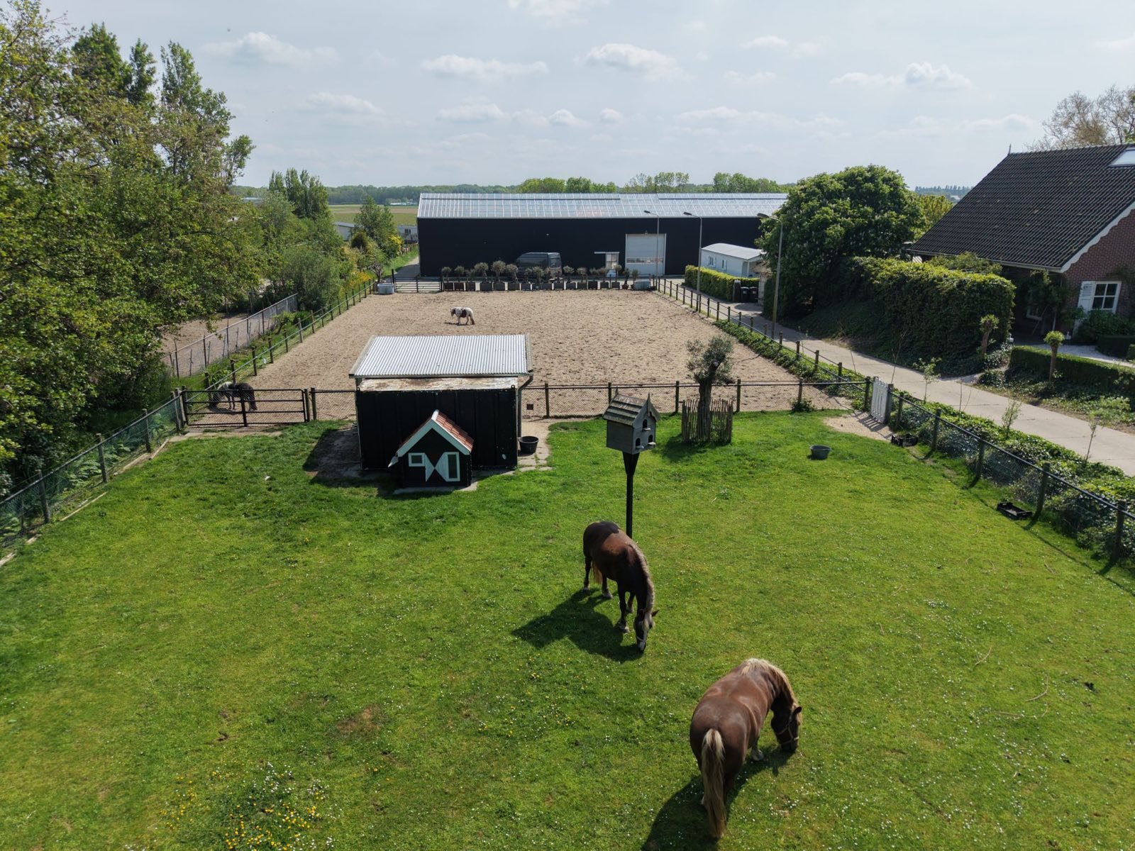 Paarden en boerderijdieren op de werkende boerderij